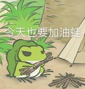 一男子十年花近百万养蛙,不光是旅行青蛙!!