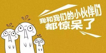 一男子十年花近百万养蛙,不光是旅行青蛙!!