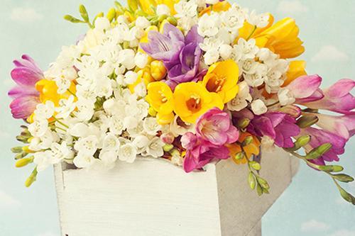 自己开花店，加盟好还是自营好？