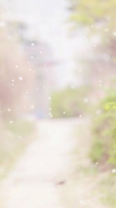 ​这里荒芜寸草不生 后来你来这走了一遭 奇迹般万物生长 这里是我的