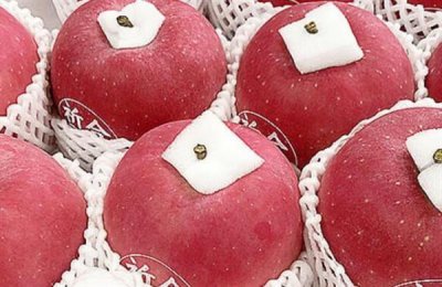 ​世界十大优质苹果品种 世界一号苹果榜上有名 日本陆奥苹果荣登榜首