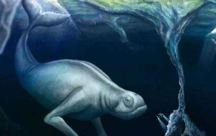 南极发现的“白色雪怪”,身高超过30米,曾被人误会是白鲸