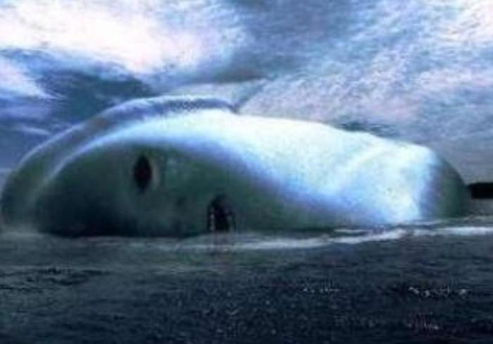南极发现的“白色雪怪”,身高超过30米,曾被人误会是白鲸