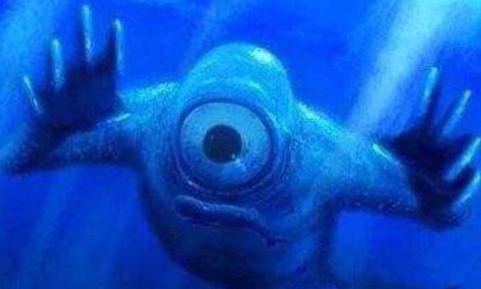 南极发现的“白色雪怪”,身高超过30米,曾被人误会是白鲸