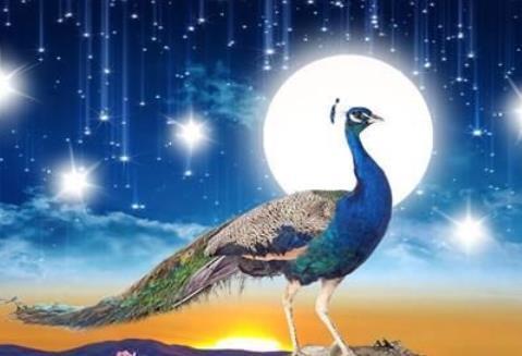 龙生九子，凤育九雏，那九子和九雏，分别指的是啥？你知道吗？