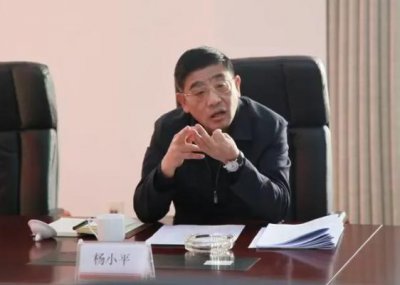 ​杨小平是虎年落马的首个贪官！目前正接受纪律审查和监察调查