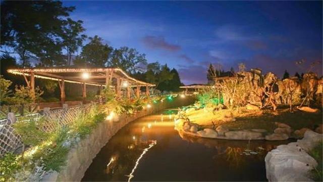 我国首个夜间动物园开园，让游客更好地了解夜行动物，就在上海