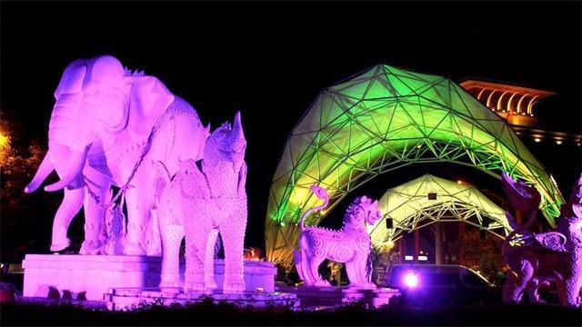 我国首个夜间动物园开园，让游客更好地了解夜行动物，就在上海