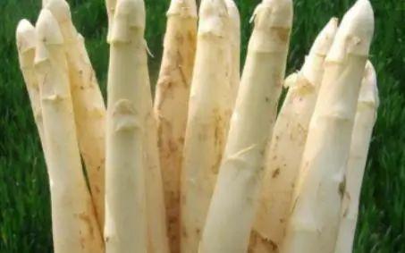 买芦笋时，选白色还是绿色？菜农：掌握这3点，买到的新鲜又好吃