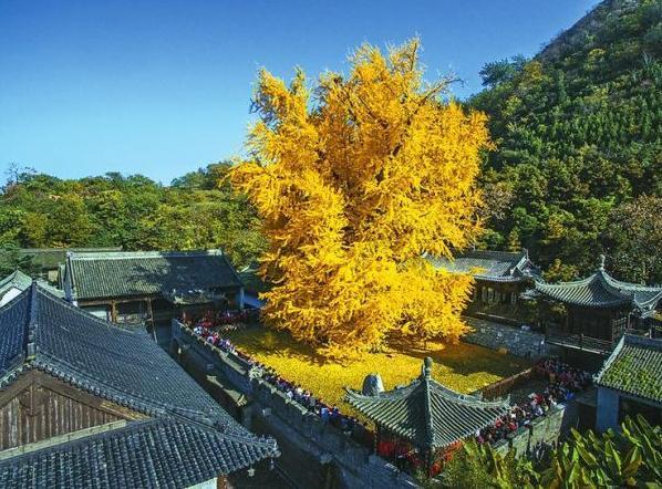 千年古刹保持初心，未入红尘，给游客一片清净很良心