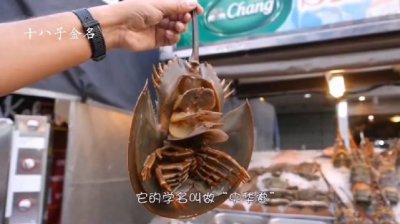 ​鲎是一种古老的海洋生物…………