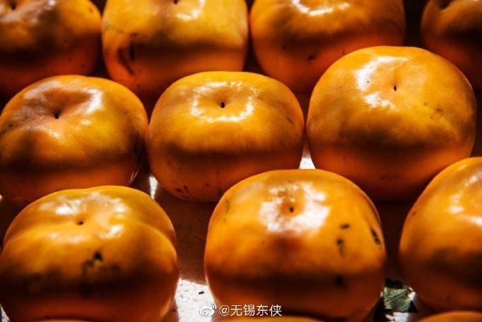 清新爽口、苹果口感的“甜脆柿”，你尝过吗