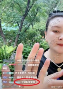 ​直播间网友提及“好媳妇张颖颖”，张兰发怒回怼：好就给你吧