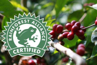 ​世界十大最好的咖啡豆：云南咖啡垫底，瑰夏咖啡夺冠