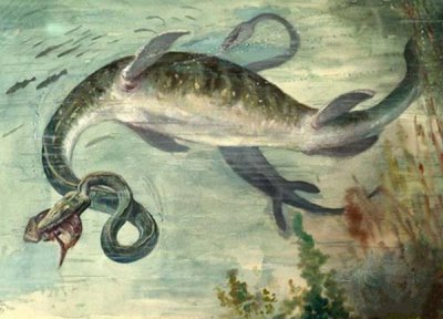 ​世界十大恐怖海怪传说，真的有海怪吗？