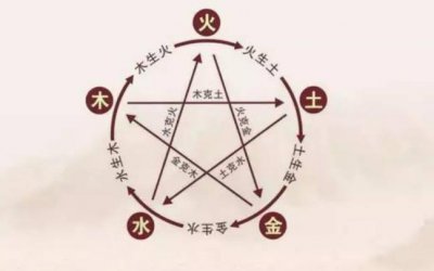​生肖五行属什么命 生肖五行是正五行吗