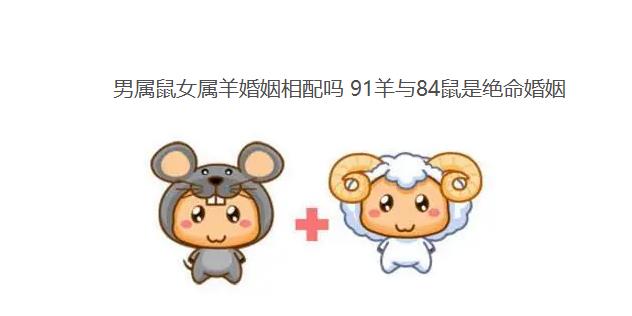 男属鼠女属羊婚姻相配吗 91羊与84鼠是绝命婚姻