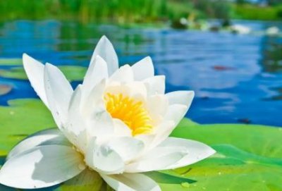 ​卫生间楼上管子根部渗水为什么卫生间污水管根部会漏水应该如何解决