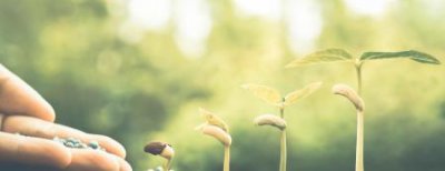 ​2006年以前的社保怎么补缴费2006年到2007社保补缴