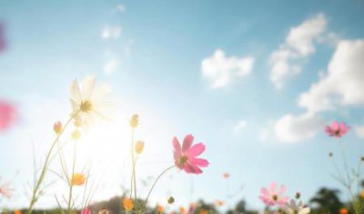 ​太冲准确位置图和按摩方法？太冲准确位置