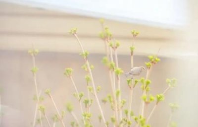 ​怎么样洗衣服上的黄汗渍衣服上的黄汗渍怎么洗