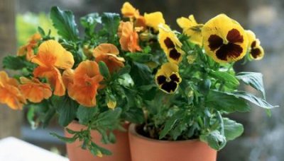 ​肿眼怎么办？