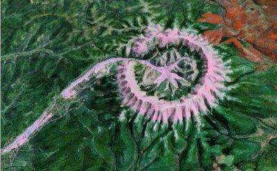 ​家长为庆祝孩子高考660分聚赌被抓