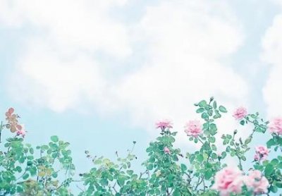 ​什么时候买飞机票最便宜？