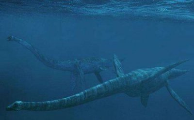 ​义乌商户冻卡风波：不仅是义乌商户 不少外贸公司的账户也被冻结