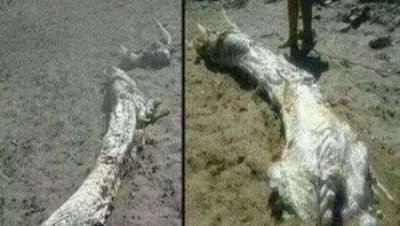 ​盗墓笔记攻略书,盗墓笔记每章详细攻略