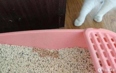 ​故宫里的猫带你看遍新故宫