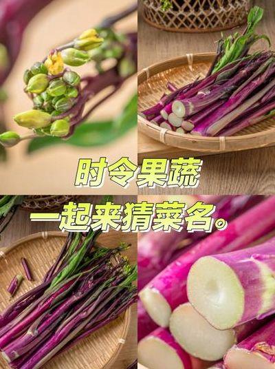 绿色蔬菜打一生肖（绿色蔬菜打一数字）
