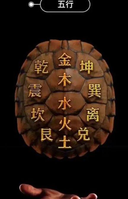 每日占卜（每日占卜龟壳）