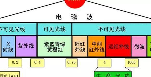 电波族（电波族是什么）