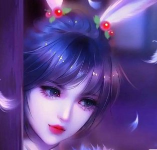 ​小五资料（小五资料库）