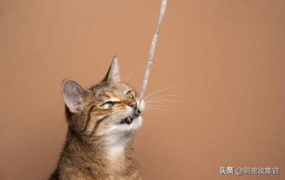 ​红霉素软膏治狗耳螨红霉素软膏治狗耳螨能每天滴药吗？