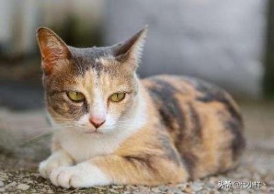 ​儿童机票都是全价吗？