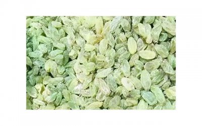 ​白羊座最佳朋友配对「谁是白羊座的最佳配对情缘」