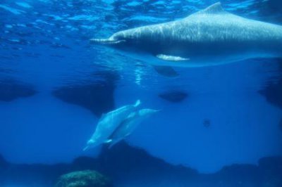 ​8月摩洛哥旅游好吗？摩洛哥十大古城