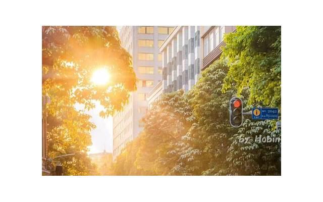 舒畅天山童姥 舒畅天山童姥剧照