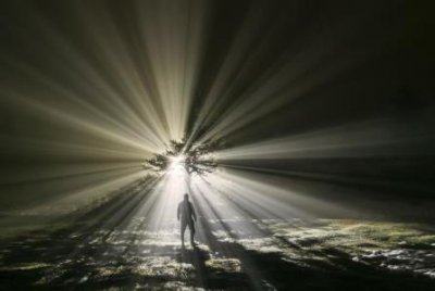 ​世界十大毒物排行榜  世界十大毒物排行榜