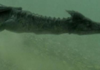 ​全球最帅的100位男星