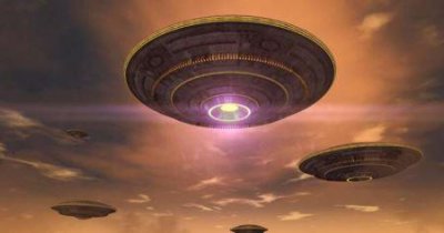 ​为什么树叶的形状千奇百怪？对于功能来说，美只是副产品