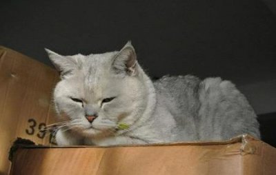 ​人在旅途安徽篇漫步古徽州安徽人游安徽猫冬