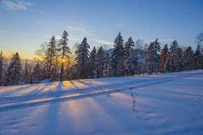 ​中国“东北三省”大学排名，东大已无缘前三，哈工程乃最强211