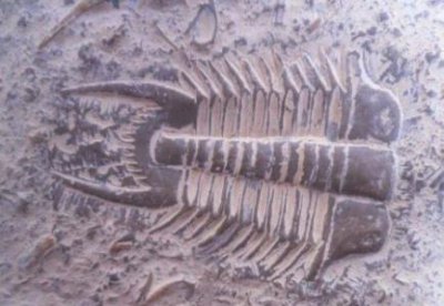 ​农村奇怪的风俗,民间怪异风俗