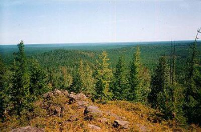 ​天上人间的第一花魁梁海玲 天上人间的第一花魁梁海玲是哪位？