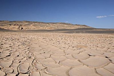 ​迟重瑞陈丽华 迟重瑞陈丽华老师结婚提的三点要求