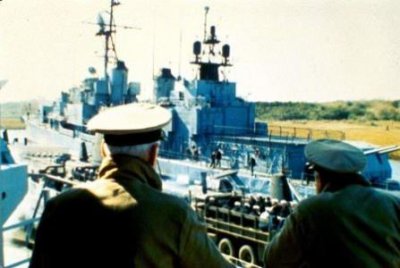 ​黑条灰灯蛾腹部窜出4条绒毛触手：散发费洛蒙吸引雌性