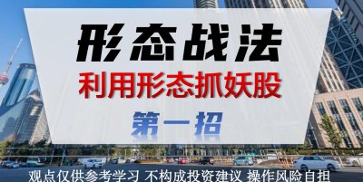 ​绝密《前一线操盘手徐翔私募炒股秘籍》